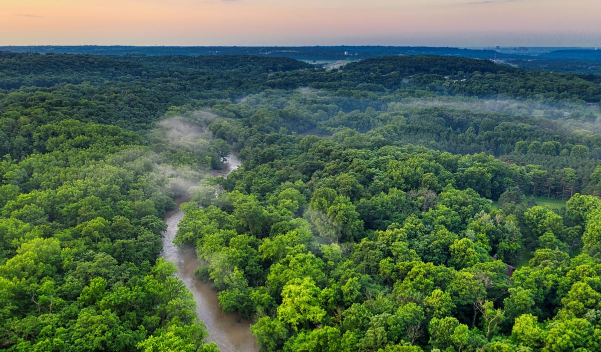 Wann kippt der Amazonas-Regenwald?